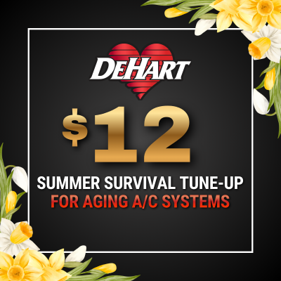 $12 Summer Survival Tune-Up for Aging A/C Systems