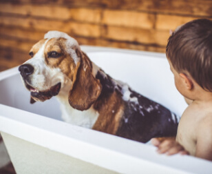 DeHart Plumbing, Heating, and Air Inc.