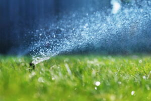 sprinkler-in-spring